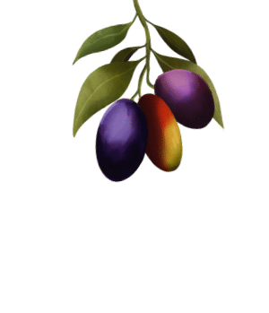 Olive Branch illustration